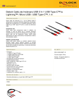 DeLOCK 86711 Fișa cu date