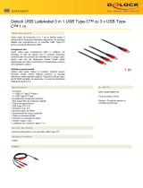 DeLOCK 86713 Fișa cu date