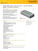 DeLOCK 63262 Fișa cu date