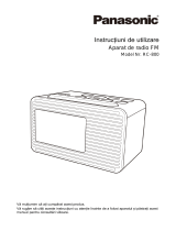 Panasonic RC800 Instrucțiuni de utilizare