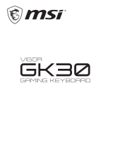 MSI VIGOR GK30 COMBO Manualul proprietarului