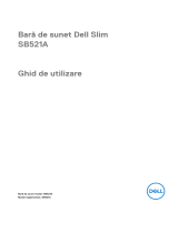 Dell SB521A Manualul utilizatorului