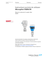 Endres+Hauser Micropilot FMR63B Short Instruction