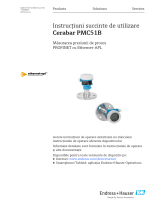 Endres+Hauser Cerabar PMC51B Short Instruction