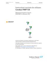 Endres+Hauser Cerabar PMP71B Short Instruction