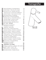 Hansgrohe 72017000 Manual de utilizare