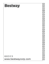 Bestway 60313 Manualul proprietarului