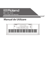 Roland E-X10 Manual de utilizare